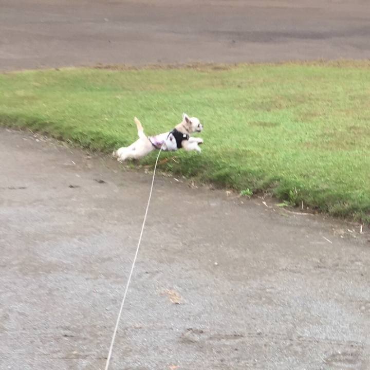 Bd246f7a 13bc 4871 b2d4 a314ccc6a666 1539586008866