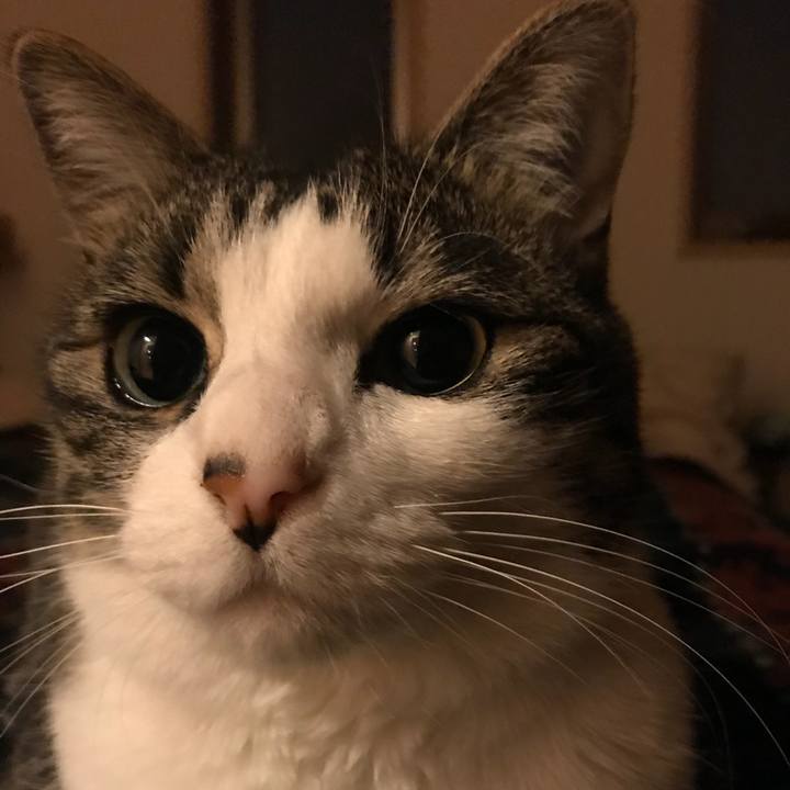 Bd249945 5780 4b3d 8f6f 952fb0337bd9 1555941014406