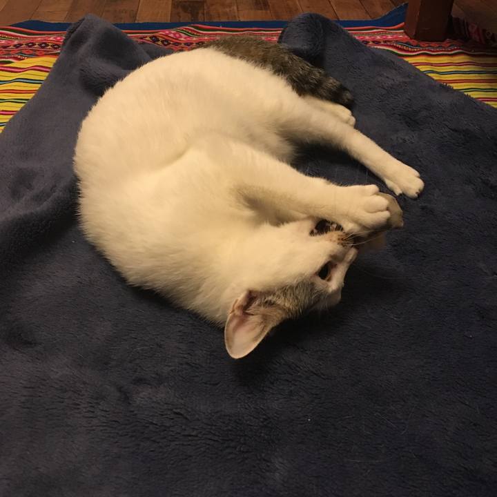 Bd24f8aa c074 429c 937c cba56cf9c2ec 1508508053585