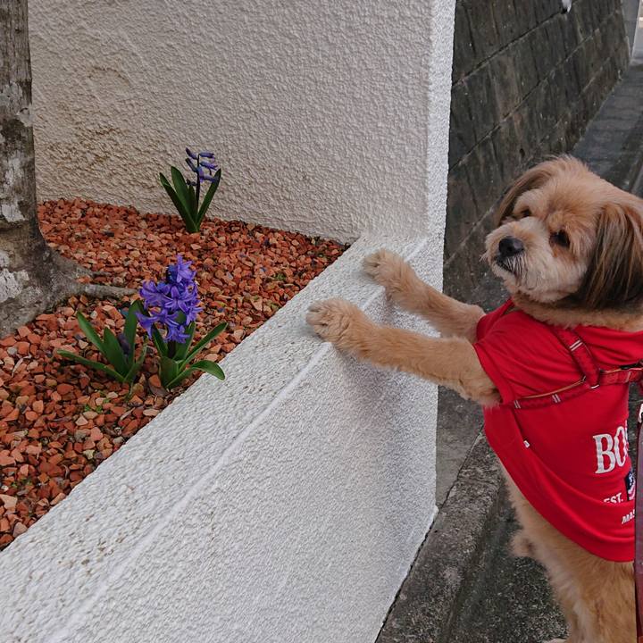 Bd25057f 554e 49bc aff0 30add39c1b19 1583195534233