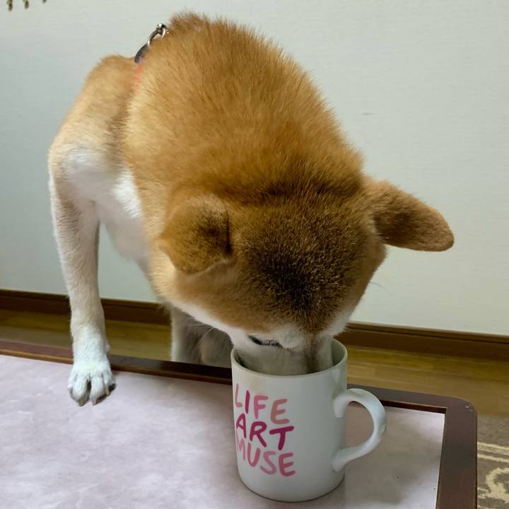 Bd25086b 726e 4ae4 bd69 34715ac803e6 1665569349149