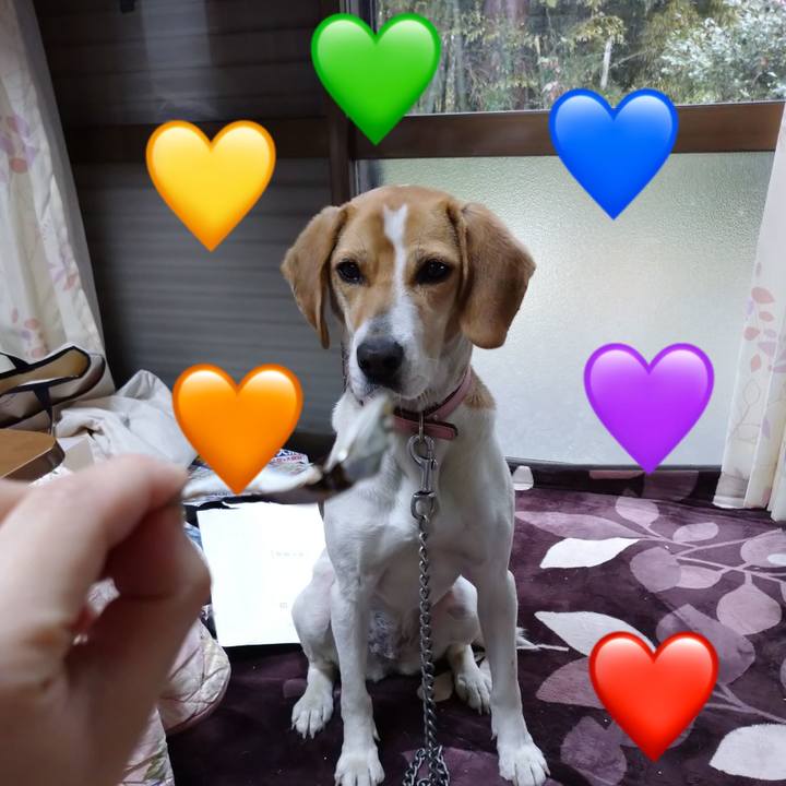 Bd25117c a92d 4208 93ac 1d762f88edab 1585296845260