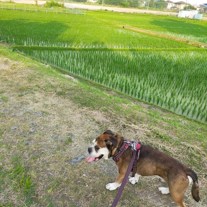 Bd254d2b 0f38 4817 9281 cc63874cf1fa 1656511530580