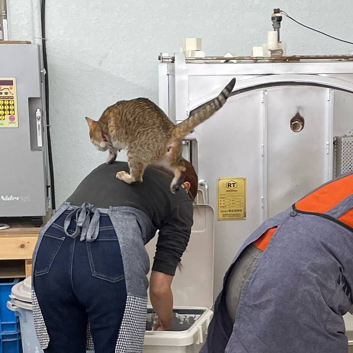 Bd255e8f 35f4 4b9d 8351 f88533ac8acd 1702463828976