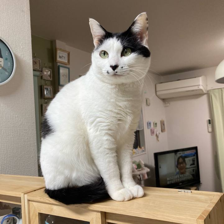 Bd259c60 7cac 4d8a 8b35 cd5a76dcfee0 1773519420259