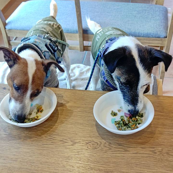 Bd25a05a dcac 4ead 929a 0b3723cdfce1 1675500533684