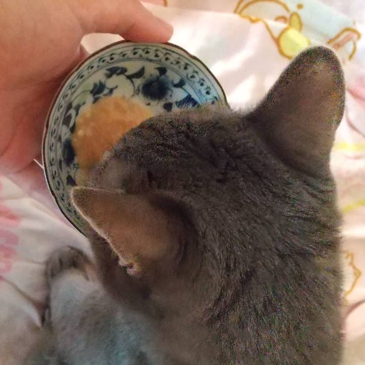 Bd25a352 3a9d 48f6 ab3c 080662fa7672 1664835446909