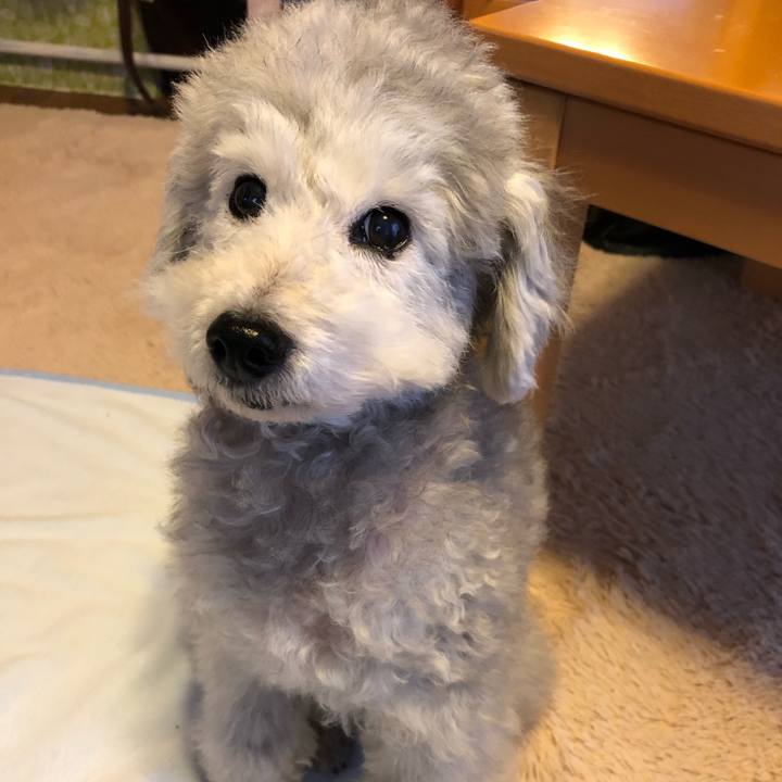 Bd25c83e 72fa 41a0 904e 8186a5b875d1 1545781039305