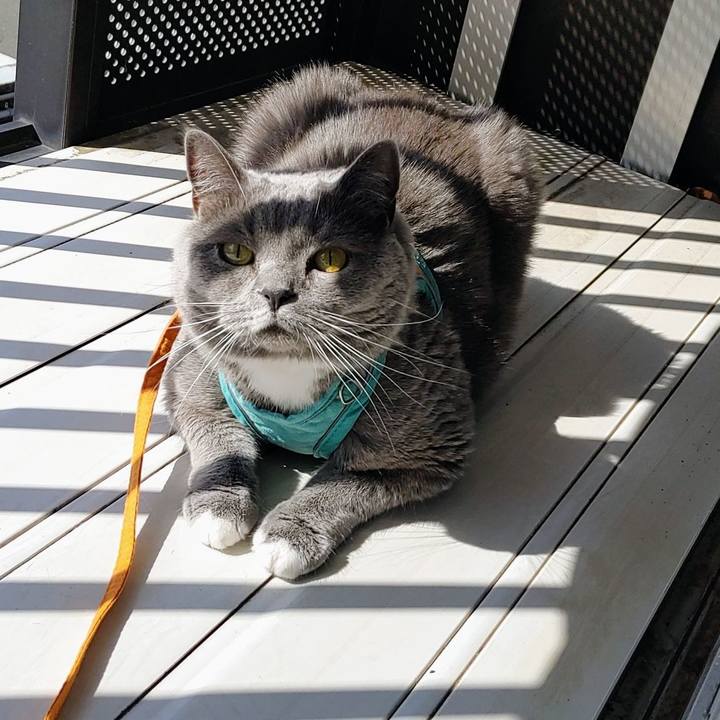 Bd25e7a8 e955 4ce0 9a2c c0bcfd0c2cda 1649376189367