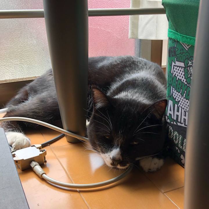 Bd260498 5125 486b 8271 9f19bf1bf565 1554954488346