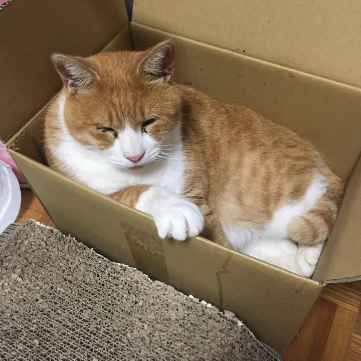 Bd2621c9 60f3 4327 9f46 61a78ac6ebbc 1508710427938