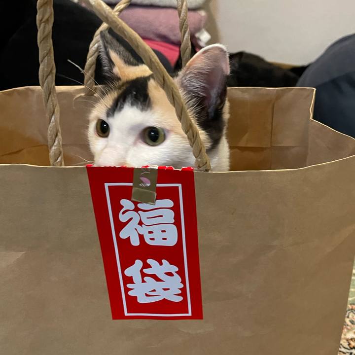 Bd265e9a 3347 4d75 b133 0a3da7e15094 1673448275170