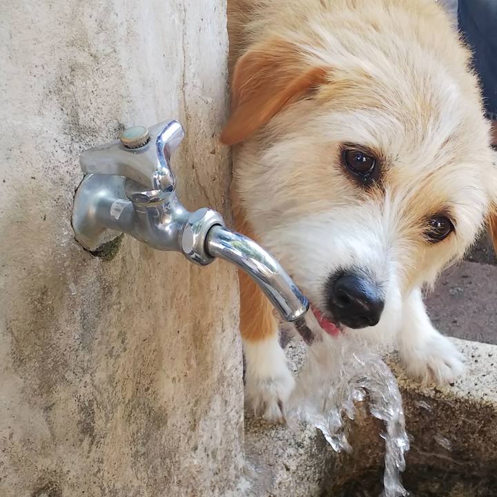 Bd266cf6 a6ba 4d89 8b34 705f62f1452f 1558687122206