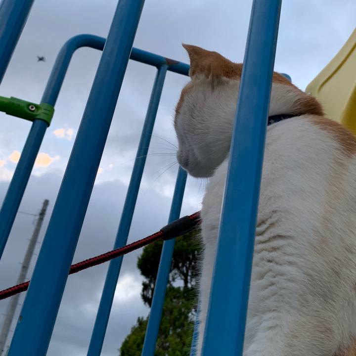 Bd2683f4 8907 4451 87fb c0ec335e950a 1592829728987