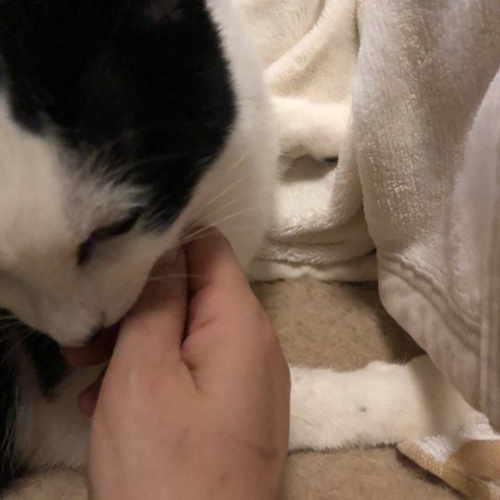 Bd268b69 d78a 4639 abaf fe9e3a4031dc 1546775291816