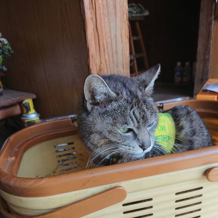 Bd269c9c 3871 4464 8050 840b391e7c61 1586398671086