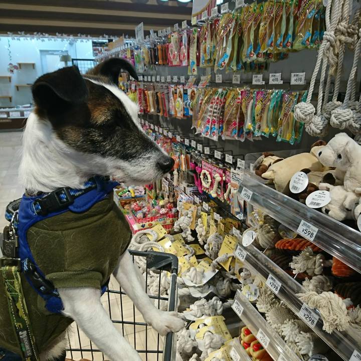 Bd26af2e cbd1 4ced 8e27 a91ccef00e9f 1513765166661