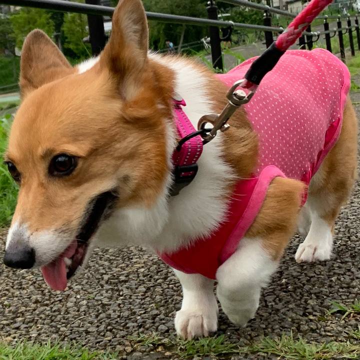 Bd26c70f c2a6 4cc6 9d4d 4a4555276819 1595063993226