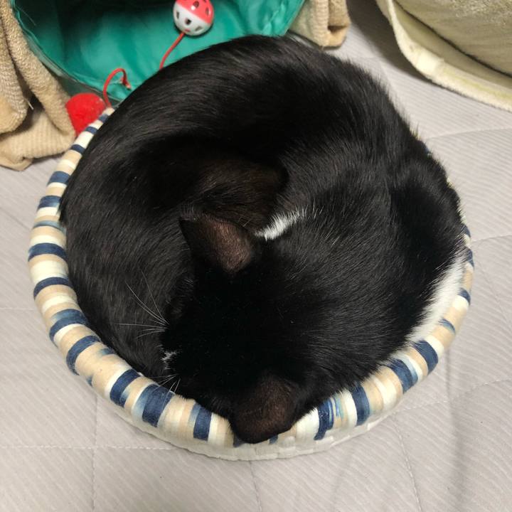 Bd26ce5e 5479 4785 8024 85fb048d598b 1570277564660