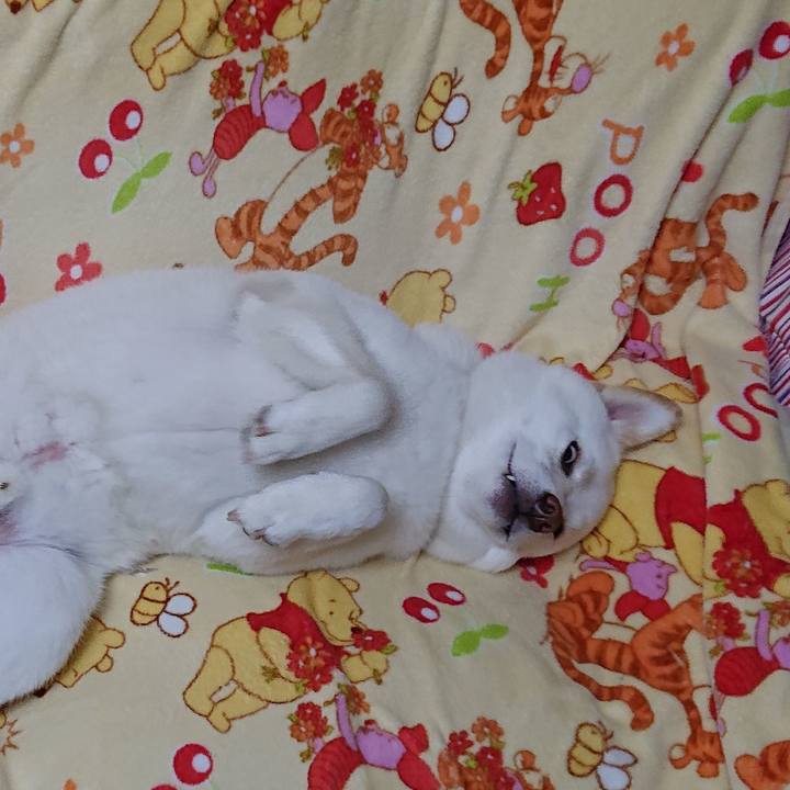 Bd26e504 a051 48c5 84f8 826caf2353fe 1576673992839