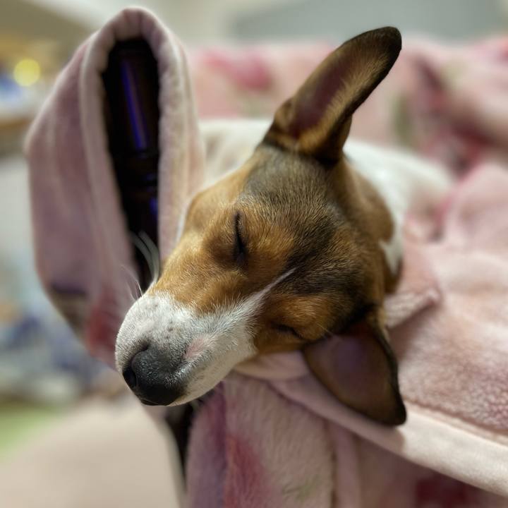 Bd273eb1 3bff 459b b771 d210b7a507ae 1678005788315