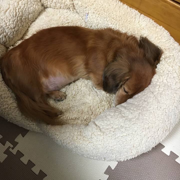 Bd274a41 d528 4f3a 8fe5 1b322e07bc2f 1573383378313