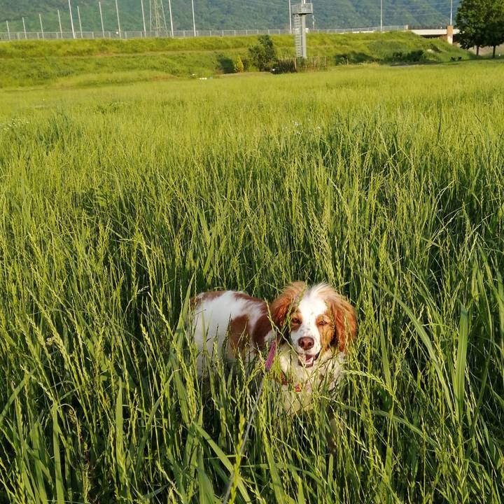 Bd274e28 3bdd 432a 9047 a0f2282fb1c3 1590751244351