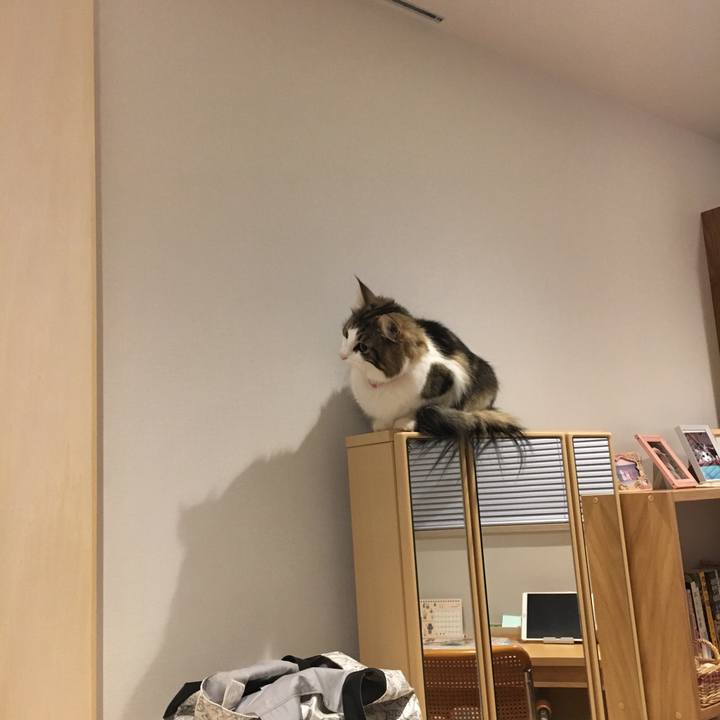 Bd27647b 3daf 42a9 aaf4 d24f5137feec 1516578746288