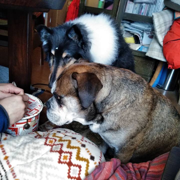 Bd277a0b df18 4192 ac5b 9cb62fc530bc 1550293415965