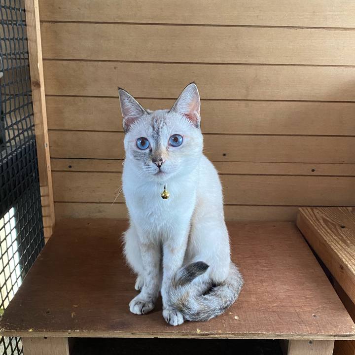 Bd2782fa 8829 45ea 881f 729b2066da77 1662162096011