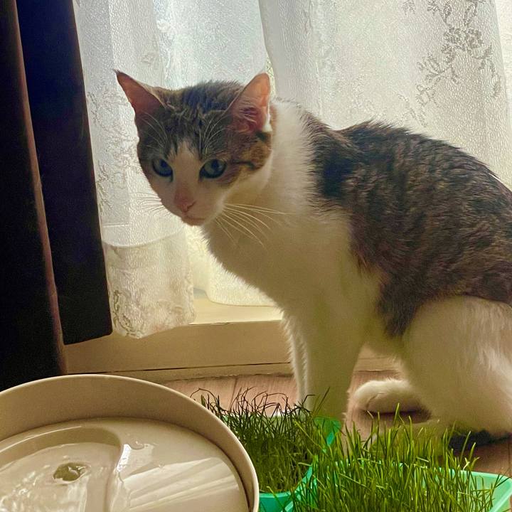 Bd27a57f 50a8 40fb beaf 9bcd78ff0f9d 1633564598860