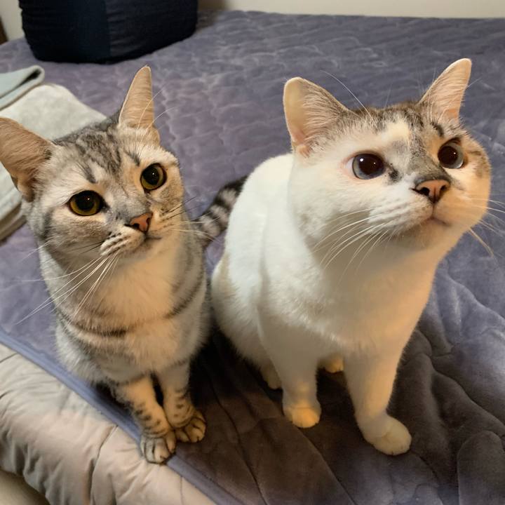 Bd27a725 5f4b 49c7 a2a5 3adb82d792e0 1635078266911