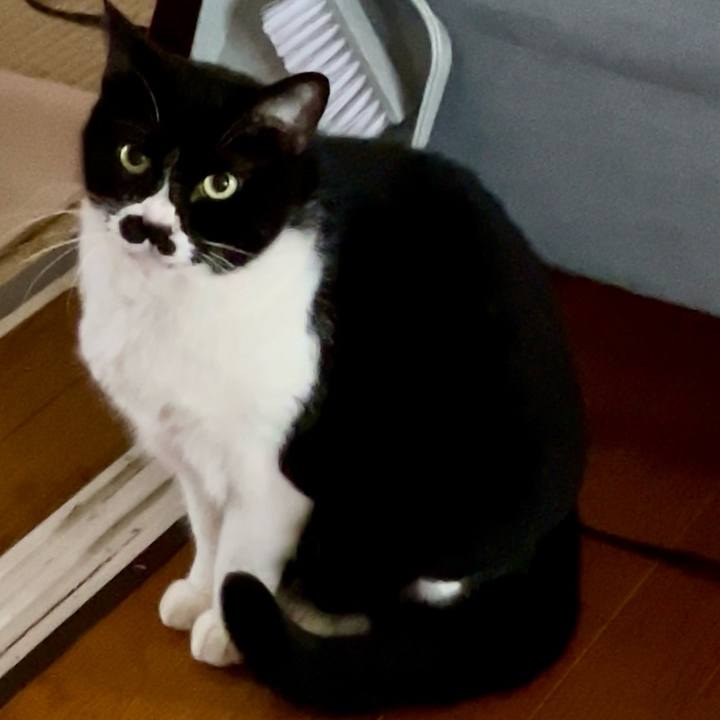 Bd27cfb4 98e3 45e9 aa03 6af59bcefef7 1702993819631