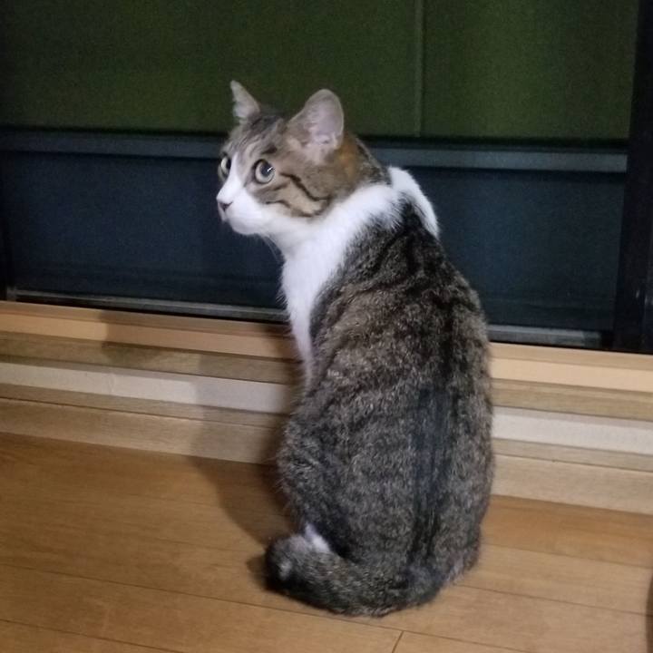 Bd27e2f4 1d18 4263 a9aa 4b06288ee509 1536497669345