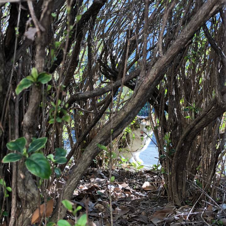 Bd2813b5 54db 45f3 b66d 0c276ea84601 1554472860231