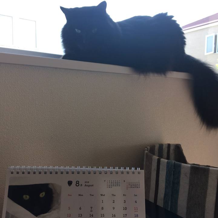 Bd284c30 0e18 4511 977b b6375bc9fb13 1533268966856