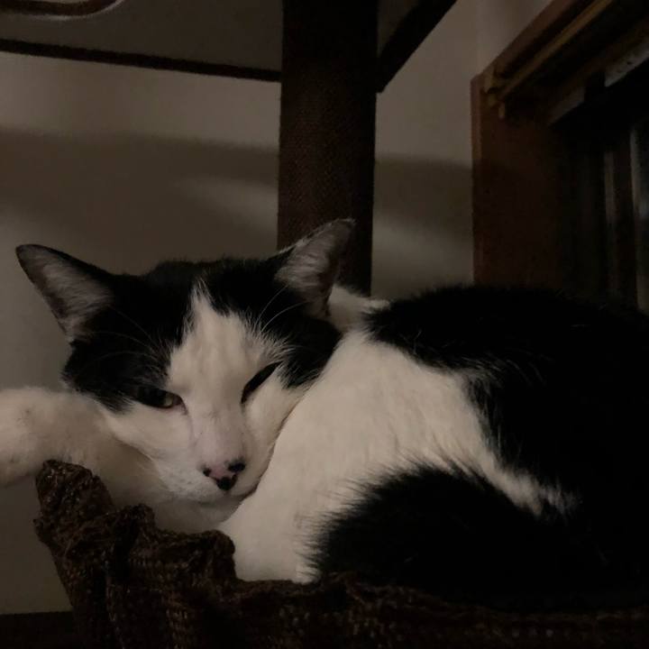 Bd2884db abc9 47c9 8012 d0de40eef9e7 1546771989051