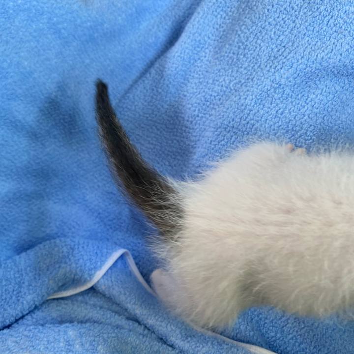 Bd28ac1c 9ccb 4935 81d8 c55d99571764 1730008866610