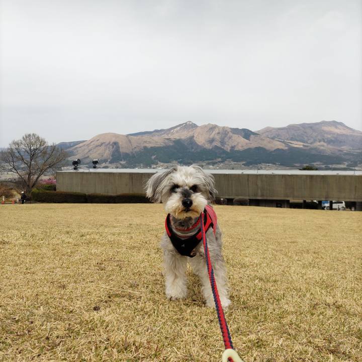 Bd28cdab 3e5a 41ad a5e4 fc7e15724dbf 1743891066044