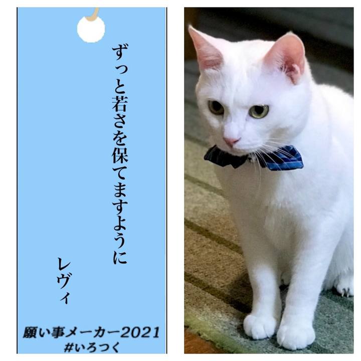 Bd2902a9 39bb 4b48 9247 67154fa6bf62 1625713857282
