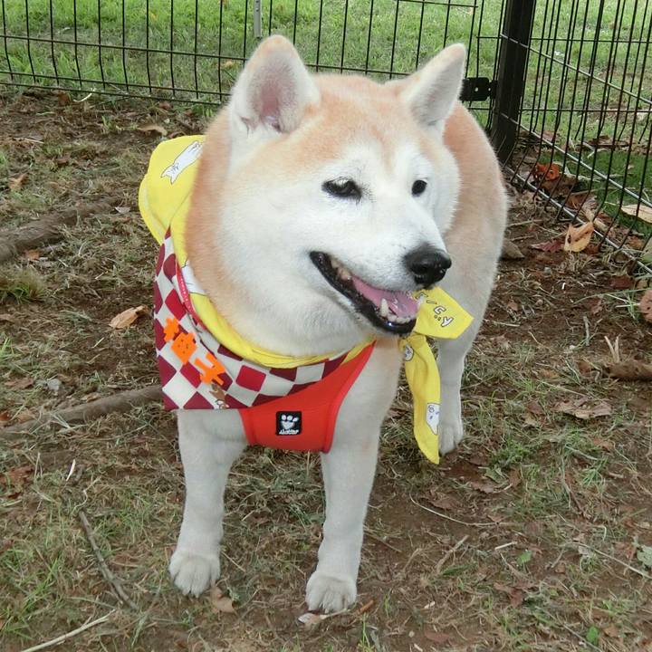 Bd290d8e a4e3 4712 b24f 49c2258f4d6d 1569684469918