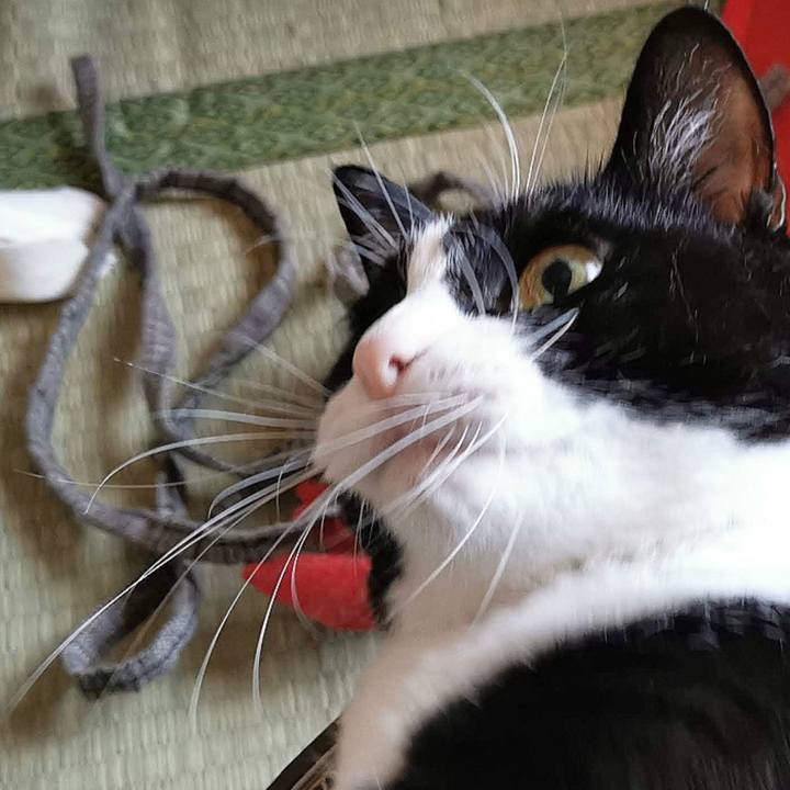 Bd291e6c a7b7 43dc ac76 ade55b3645a3 1663647313624