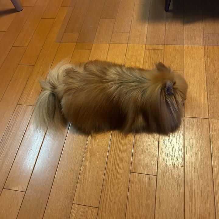 Bd292397 5d97 49ef a140 1635bc54006e 1759313410202