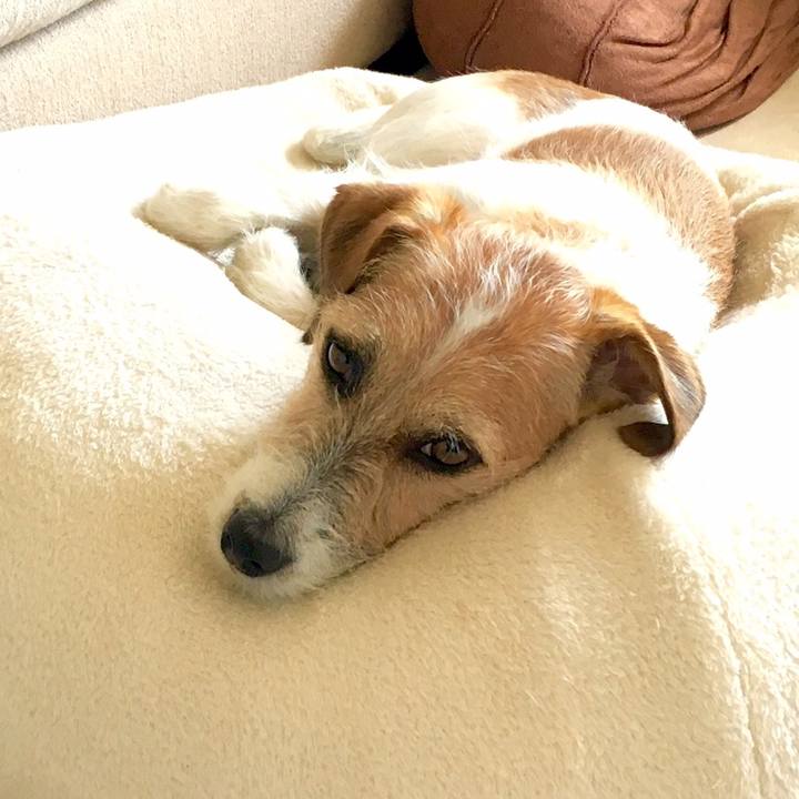 Bd2970c7 2e83 4559 bbce 32df5bc7ef4b 1540600714132