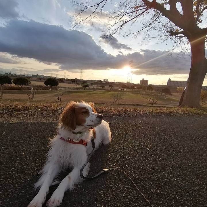 Bd29a4d0 f528 464b b60c 3d5d35f8f70d 1576843908208