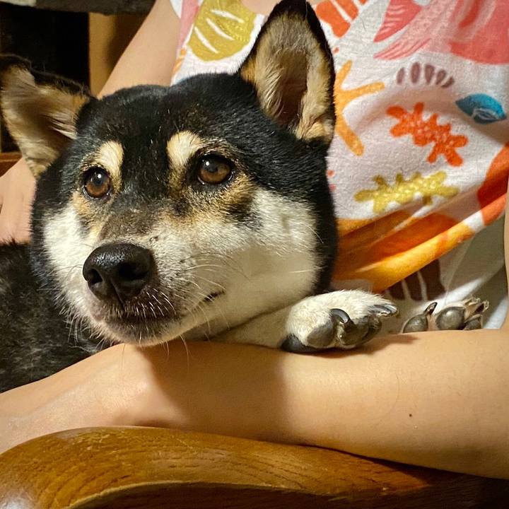 Bd29c0a1 34a7 42cb bf88 7bd4a55422c0 1626147355362