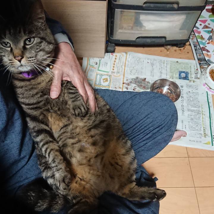 Bd29d00a 224d 4e08 ab3f b9fbd92dd9d7 1652785180770