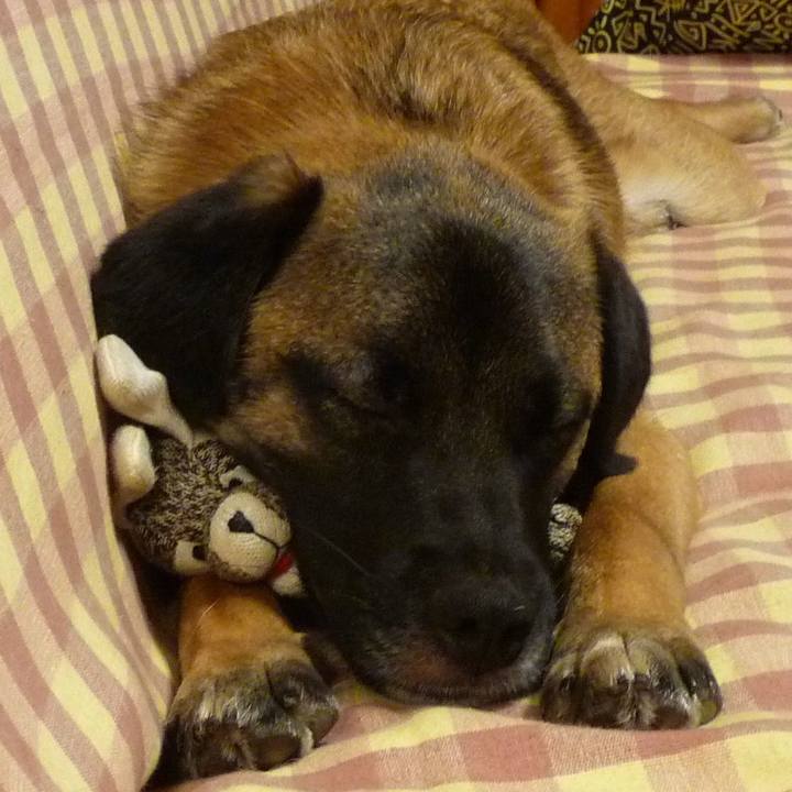 Bd29d9ec 3f0a 4d12 8534 94f6cefd9ed9 1512700924247