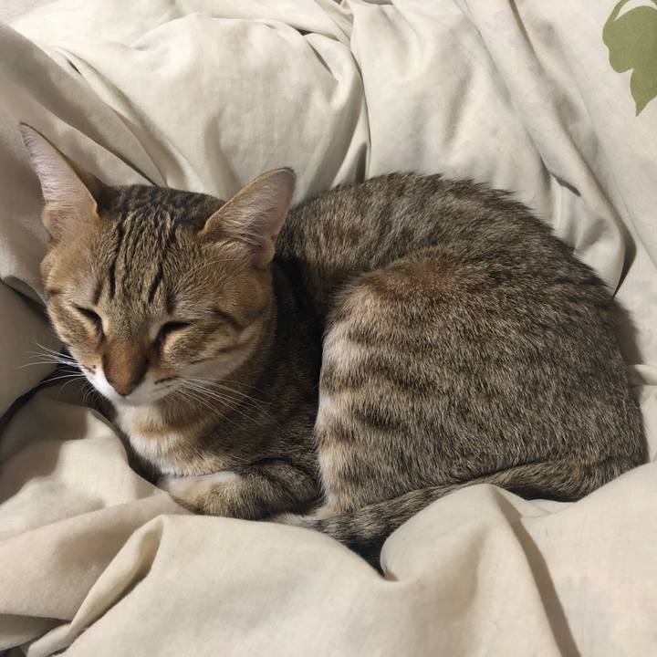 Bd29e4e1 c9e8 4ee4 b89b 7fa1e654cc84 1604703582337