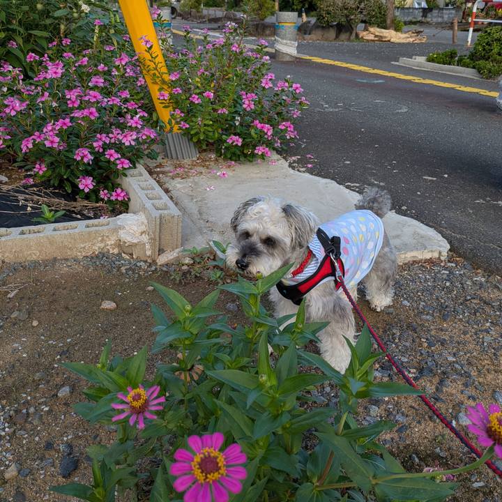 Bd2a06ca e14f 417d 98d2 b36624cbda53 1757974345796